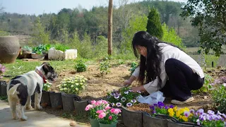 Make a flower wall｜Look for delicious ingredients on the rural road 製作一面花牆｜在田園小路上，尋找美味食材