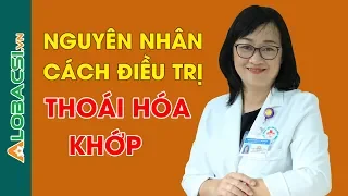 Thoái Hóa Khớp: Nguyên Nhân - Cách Chữa Trị Và Dự Phòng Thoái Hóa Khớp