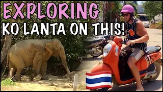 🇹🇭Why We Will NEVER Return To Tourist Trap KOH LANTA Ever Again! Thailand Travel Guide