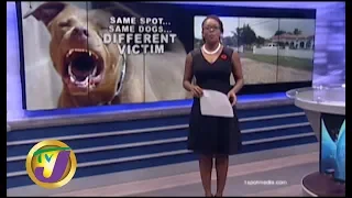 TVJ News: Same Spot.. Same Dogs.. Different Victim - October 30 2019