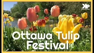 Ottawa Tulip Festival 2017 - Kprod Entertainment