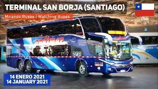 WATCHING BUSES | Terminal San Borja (Santiago de Chile) - January 14, 2021