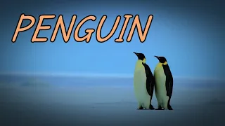 PENGUIN 槇原敬之 歌詞付