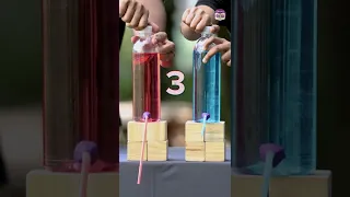 Which Bottle Would Empty First? | Fastest Way to Empty a Water Bottle | Science Experiments for Kids