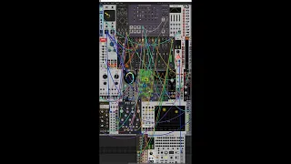 what the Module? poly-rhythm Madness