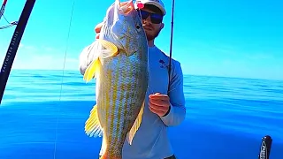 THE BEST SECRET! Bait For Mangrove Snapper, Hogfish, and Lane Snapper