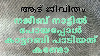 ആട് ജീവിതം കാട്ടറബി song