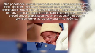 Применение метода "Кенгуру" в  уходе за недоношенными детьми