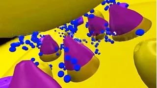 Curare 3D Animation - Nerve Cell Toxins