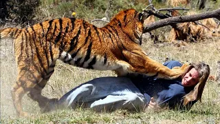 16 Most Dangerous Animal Attacks!