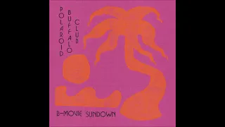 Polaroid Buffalo Club - B​-​Movie Sundown (Full Album 2022)