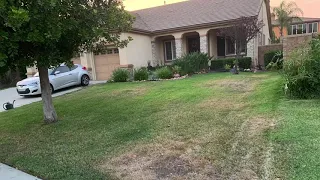 AMAZING 5 Day Drought Tolerant Landscape Makeover Project