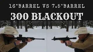 (Round 1) 300 Blackout 7.5" vs 16": Does Barrel Length Matter?