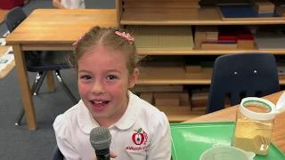 Apple Montessori Elementary Open House