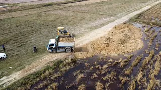 Starting New Project Land fill By Komatsu D31Px Dozer Pushing Soil & 25wheels- 2.5Ton Truck Dumping