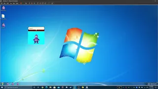 Bonzify.exe on a VM