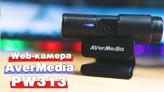 Веб камера AverMedia Live Streamer Cam PW313. FullHD, 30 к/c. Неплохая камера за свои деньги.