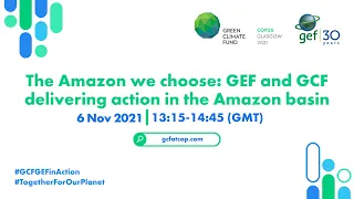 The Amazon we choose: GEF and GCF delivering action in the Amazon basin