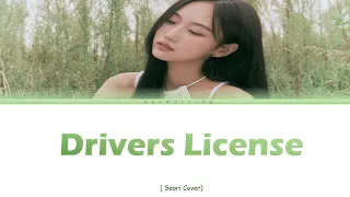 SEORI (서리) DRIVERS LICENSE COLOR CODED LYRICS