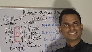 Local Anaesthetics : Mechanism Of Action