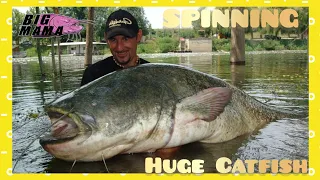 Big Catfish 200 lbs on spinning with Rapalà in a swollen river by Catfish World