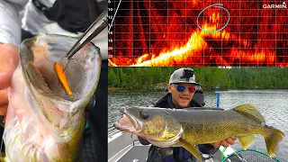 SMASHING Big Walleye Schools During Tournament (KWO 2020)