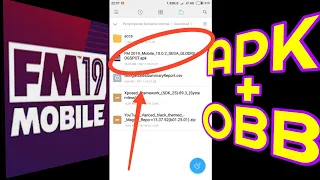 I Found Link FM 2019 Apk + Obb