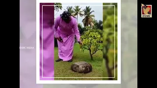 FISH HARVEST AT POOLATHEEN THIRUVALLA