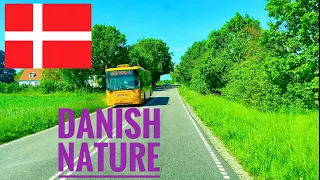 The charming nature of Denmark and stunning sea views || Driving in Denmark 🇩🇰 || 4K Summer 2021
