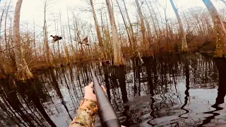 DUCK hunting a FLOODED TIMBER hole LOADED with WOOD DUCKS!