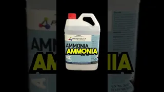 Ancient Romans Used Urine As Mouthwash! #shorts #history