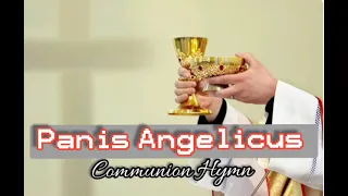 Panis Angelicus with Latin & English Lyrics