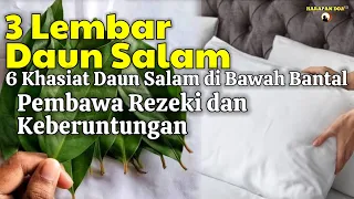 TARUH 3 LEMBAR DAUN INI DI BAWAH BANTAL, INILAH 6 KHASIAT DAUN SALAM DI BAWAH BANTAL, Penarik Rezeki