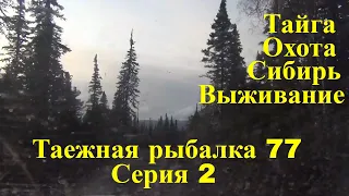 Таежная дорога в Тайге Серия 2 Таежная Рыбалка 77 осень Выживание Охота Лес Сибирь  Уаз