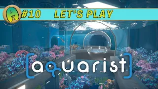 The Underwater Ruins | Aquarist | Episode 10