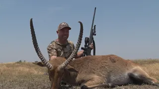 Amazing Lechwe with the 300PRC