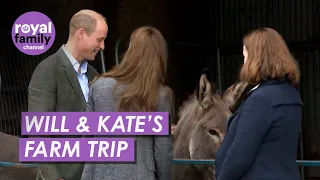 Prince Farming: William and Princess Kate Pet Adorable Donkey