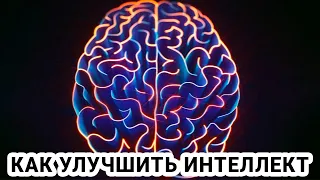 Какие препараты улучшают память и работу мозга