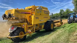 Harvest with a 2023 THREE-WHEEL COMBINE! barley at 80+ t/ha. UKRAINIANS on a farm in Switzerland