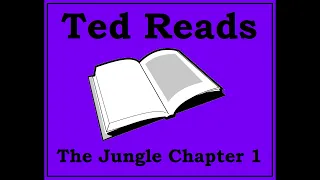 The Jungle Upton Sinclair Chapter 1