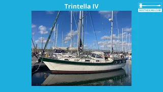 Trintella IV