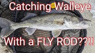 Fly Fishing for Walleye From Shore!