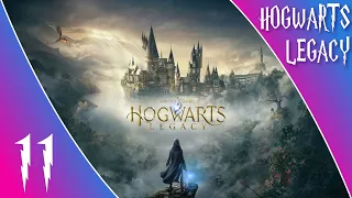 Hogwarts Legacy : La Magie Continue ! #Letsplay11