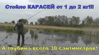 Шок рыбалка на огромного карася. Ловлю карася больше кило на удочку с боковым кивком.