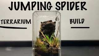 Miniature terrarium build for jumping spider