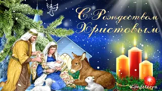 С Рождеством Христовым красивое видео поздравление✨❄️🎄 Открытка с Рождеством Христовым!
