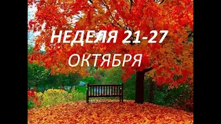 СТРЕЛЕЦ - НЕДЕЛЯ 21-27 Октября