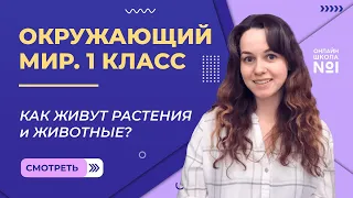 Видеоурок 13. Как живут растения и животные? Окружающий мир 1 класс