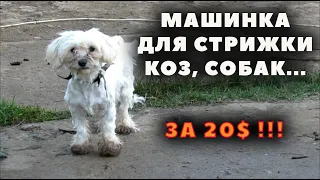 Супер машинка для стрижки животных!