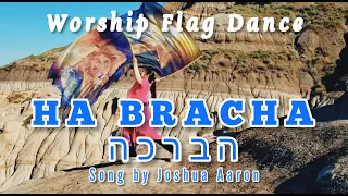 The Blessings in Hebrew || Worship Flag Dance Cover || Song by Joshua Aaron